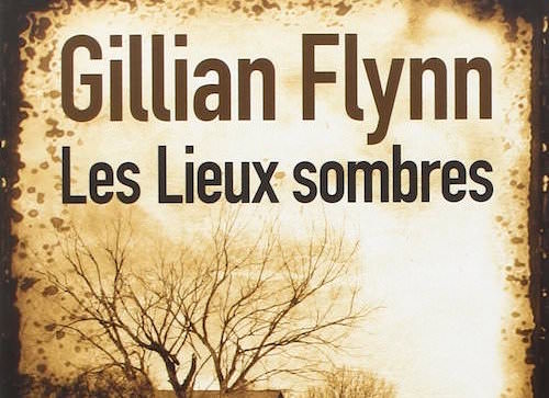 gillian flynn-les-lieux-sombres