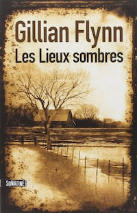 gillian flynn-les-lieux-sombres