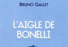 aigle de Bonelli - gallet