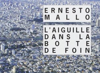 L aiguille dans la botte de foin - Ernesto mallo