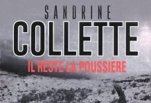 Il reste la poussiere - Sandrine COLLETTE