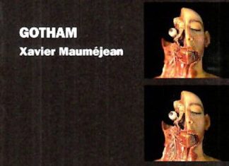Gotham - Xavier MAUMEJEAN