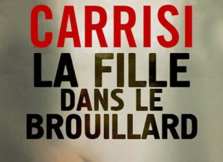 la fille dans le brouillard - donato carrisi