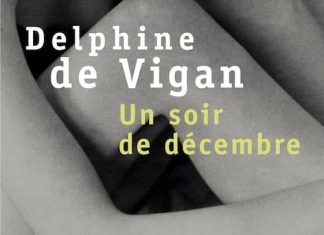 un soir de decembre - delphine de vigan