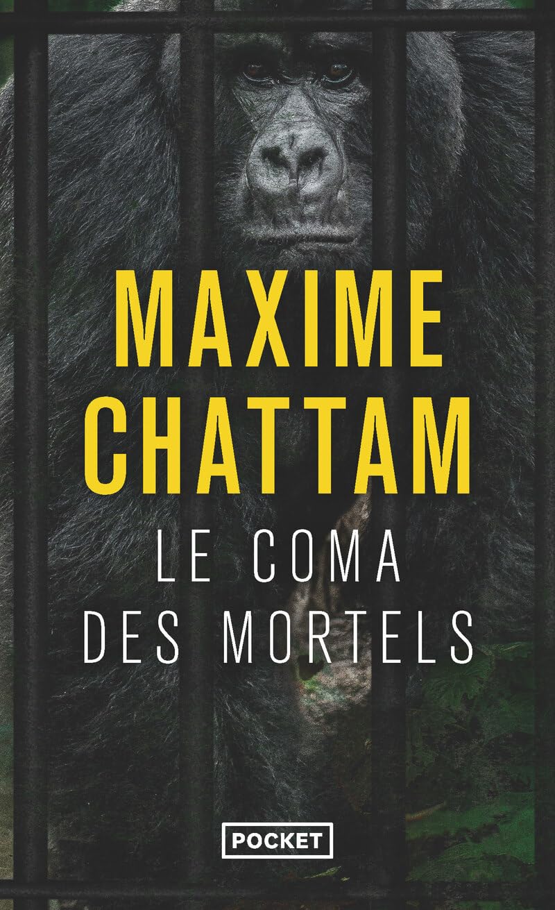 Maxime CHATTAM : Le coma des mortels