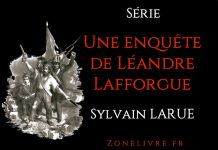 sylvain larue-une-enquete-de-leandre-lafforgue