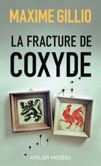 Maxime GILLIO - La fracture de Coxyde