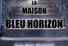 Jean-Marc DHAINAUT - La maison bleu horizon