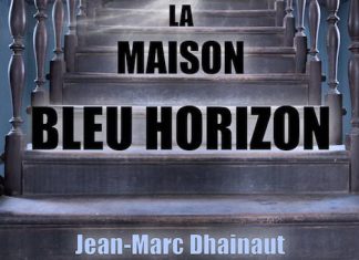 Jean-Marc DHAINAUT - La maison bleu horizon