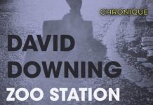 David DOWNING : Zoo Station