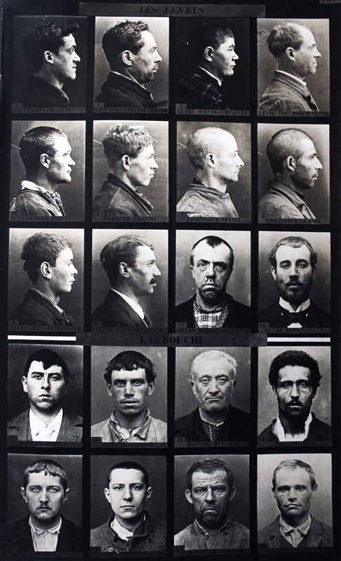 criminocorpus