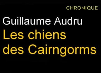 Guillaume AUDRU : Les chiens des Cairngorms