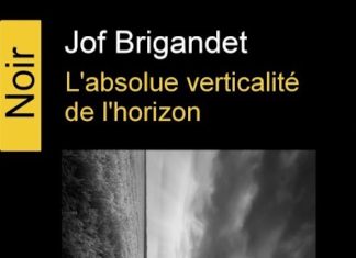 Jof BRIGANDET -absolue verticalité de horizon -