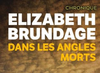 Elizabeth BRUNDAGE : Dans les angles morts