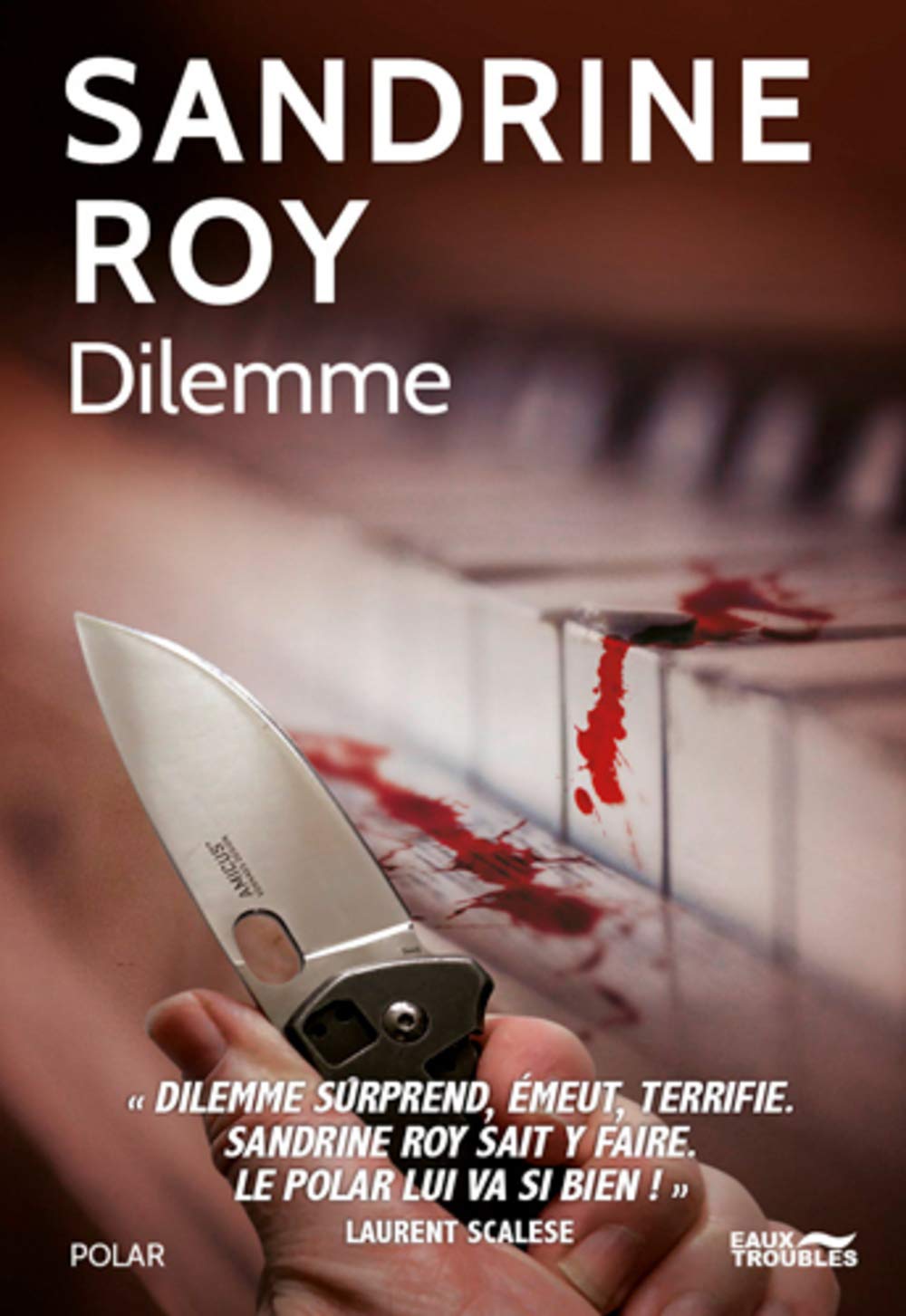 Sandrine ROY : Dilemme