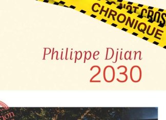 Philippe DJIAN : 2030