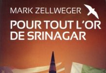 Mark ZELLWEGER : Série Réseau Ambassador - 05 - Pour tout l'or de Srinagar
