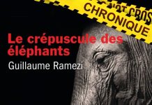 Guillaume RAMEZI : Le crépuscule des éléphants