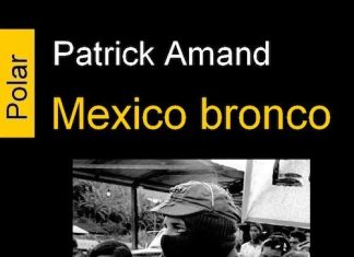 Patrick AMAND : Mexico bronco
