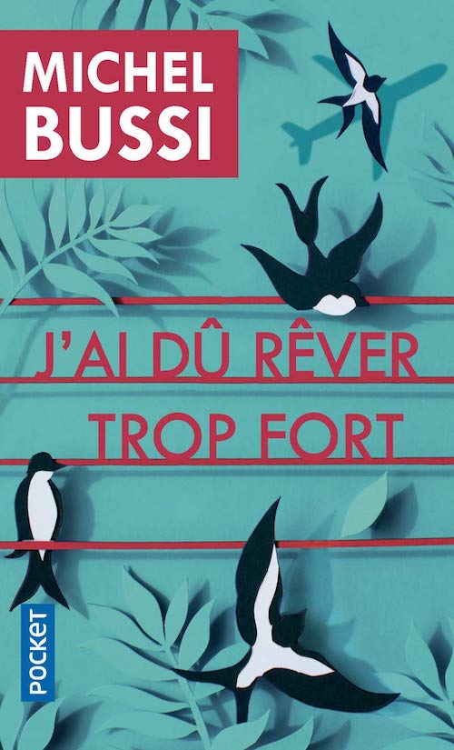 Michel BUSSI : J'ai dû rêver trop fort