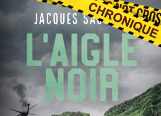 Jacques SAUSSEY - aigle noir