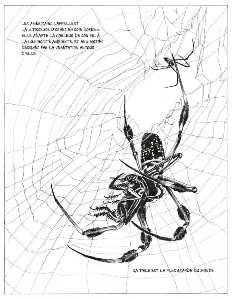 Valentine Cuny Le-Callet : Perpendiculaire au soleil