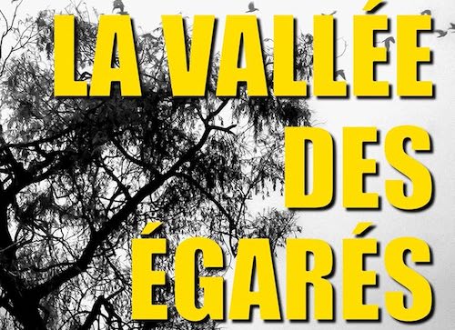 Céline Servat : La vallée des égarés